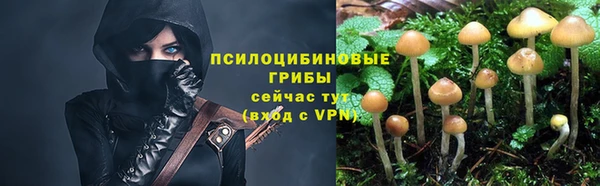 гидра Нефтегорск