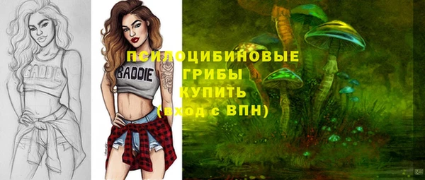 spice Надым
